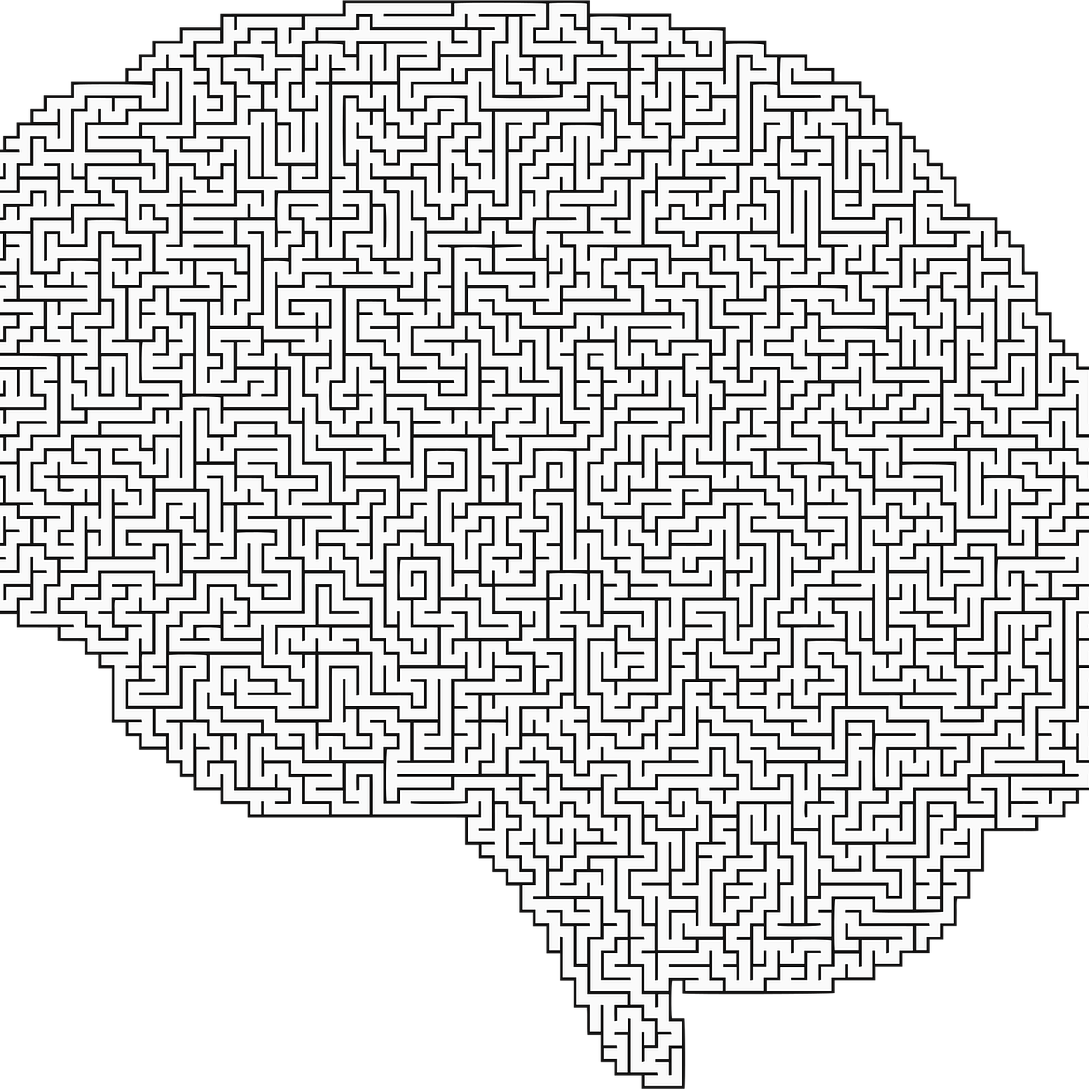 brain, cranium, head, psychology, skull, think, thought, mind, maze, puzzle, labyrinth, gray brain, gray thinking, gray skull, gray mind, gray puzzle, gray think, gray psychology, brain, brain, brain, brain, mind, maze, maze, maze, maze, maze
